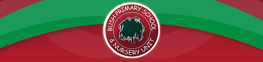 Bush Primary School & Nursery Unit, Dungannon