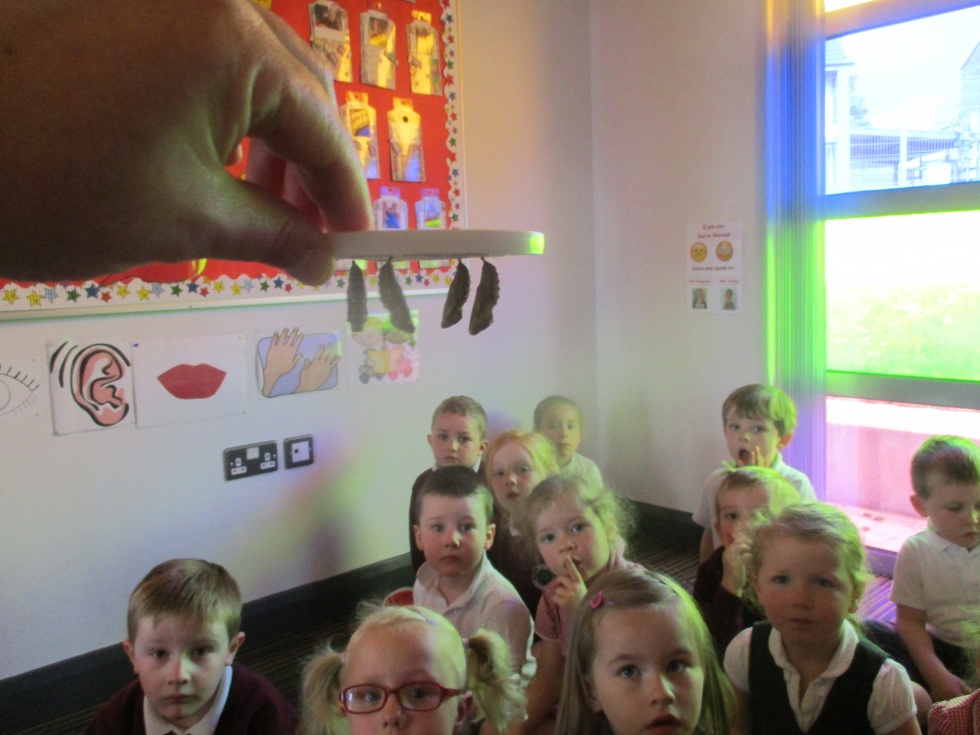 Nursery Caterpillars Make their Cocoons!